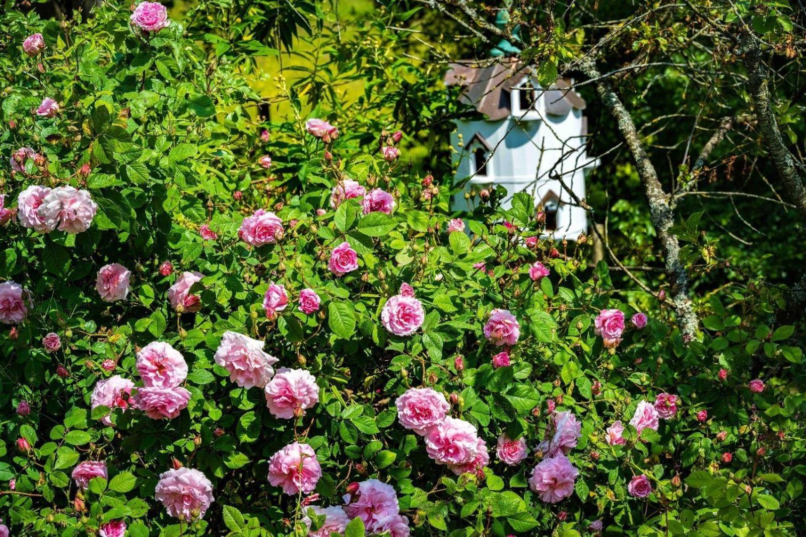 Ebony Cottage Тенбери Экстерьер фото